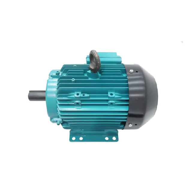 Brook Crompton WP-DA184TS-S2 三相感应电动机